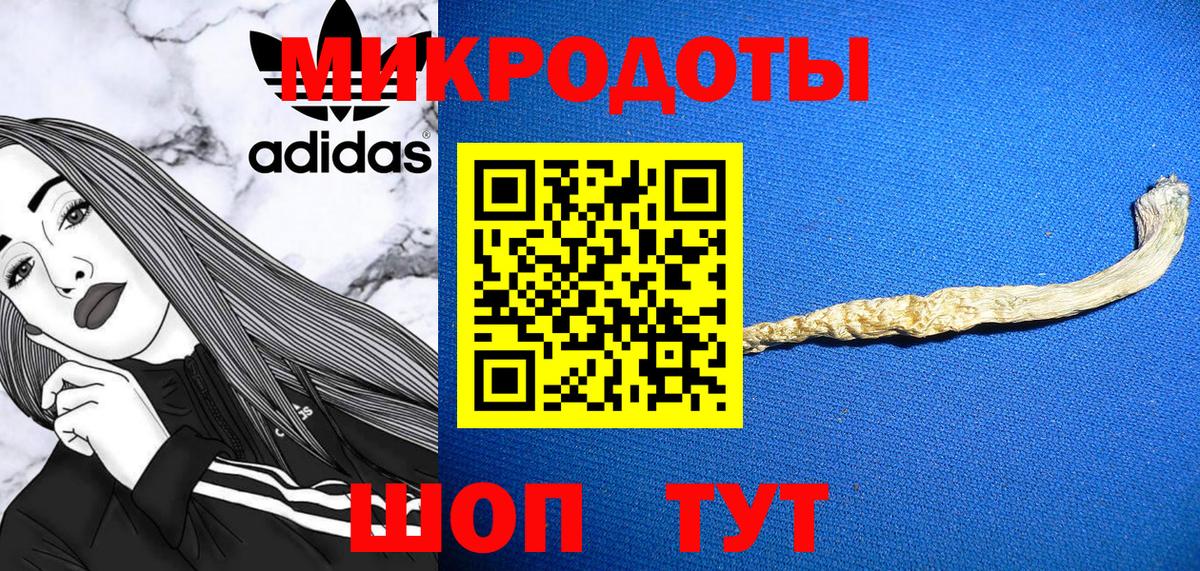 Шебекино  Галлюциногенные грибы Psilocybe  Вход с VPN 